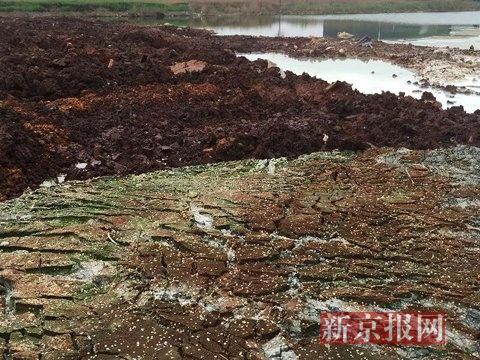 探访河北廊坊污水渗坑:白色黑色绿色污水相互拼接